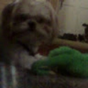 Meet your Posher, Krystal